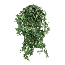 Лианы / ампельные