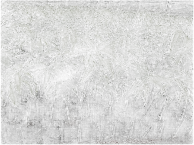 Манго - Mangifera D18 H140