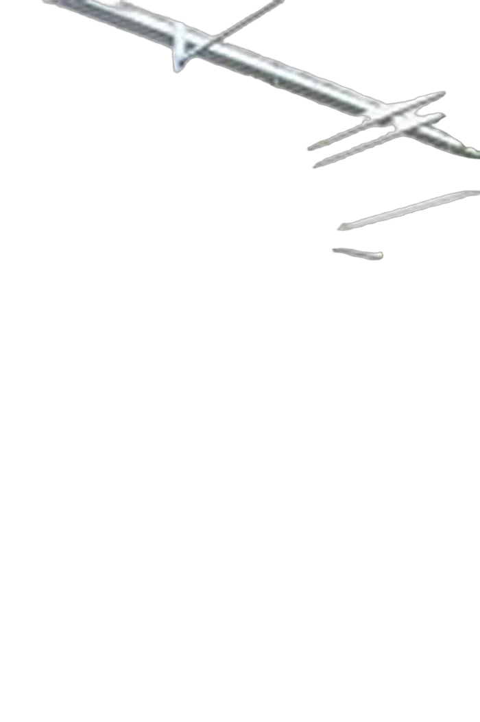 Фикус Биннедика Амстел Кинг штамб - Ficus Amstel King D85 H400