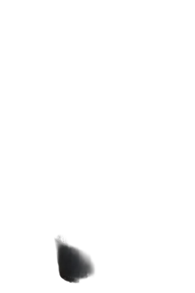 Бонсай Фикус Микрокарпа - Bonsai Ficus microcarpa D60 H220